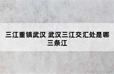 三江重镇武汉 武汉三江交汇处是哪三条江